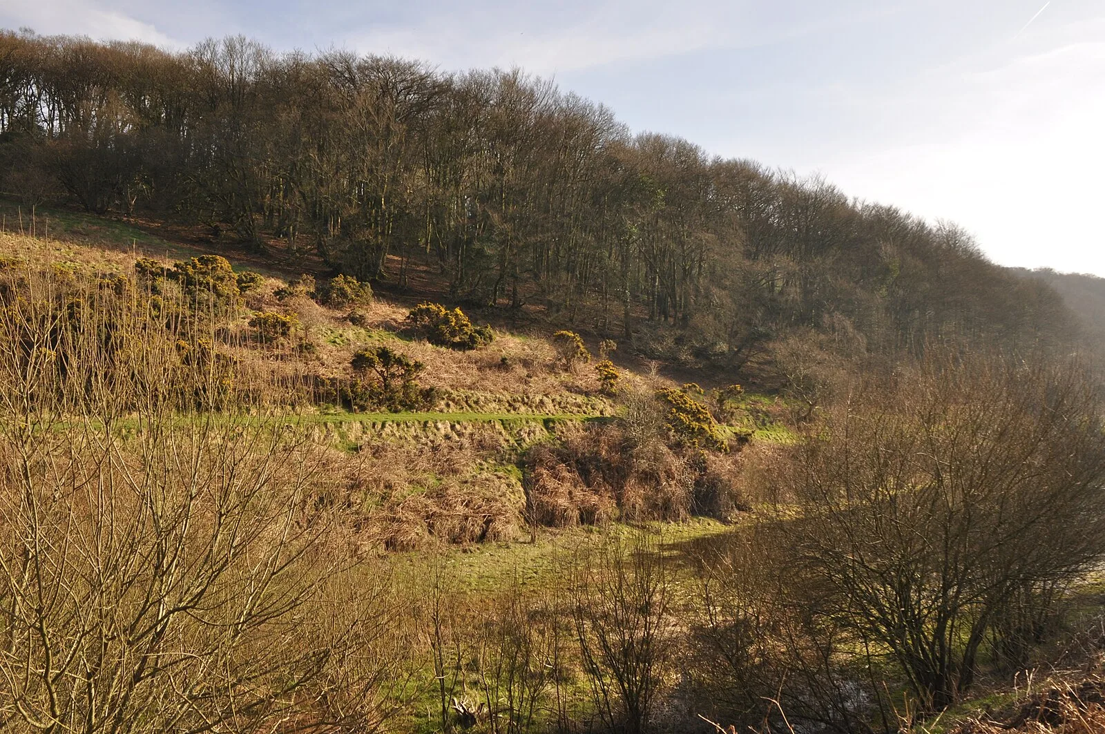 Clatworthy Camp